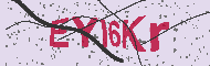 Codice captcha