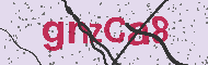 Codice captcha