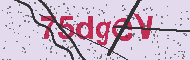 Codice captcha