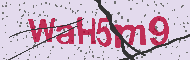 Codice captcha