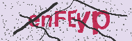 Codice captcha