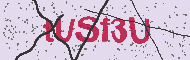 Codice captcha